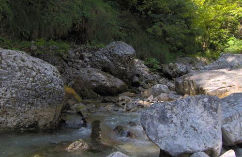 Apartment Ninetta Belluno Dolomiti - Foto 33