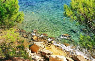 Roulotte Provençale - Foto 7