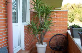 La casa del navegante - Foto 18