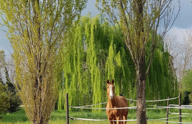 Cascina Moretta - Foto 25