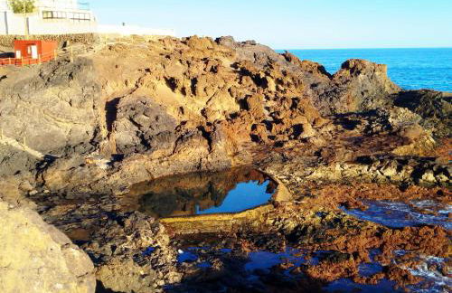 Natura punta - Photo 19