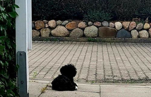 Wohnung am Meer mit Garten - Foto 5