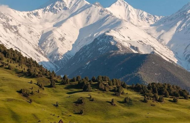 ALTO Cabins - Foto 16