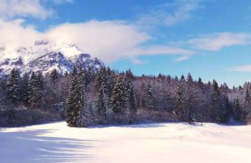 Casa Camilla Holiday - Foto 15