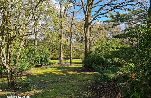 The Reading Chalet and gardens, suitable for contractors - Photo 8