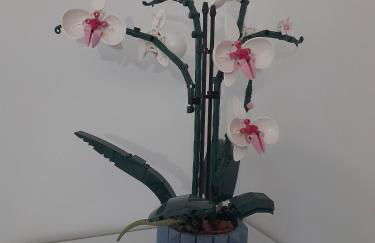 Studio Cosy 15 m2 au fond du jardin - Foto 13