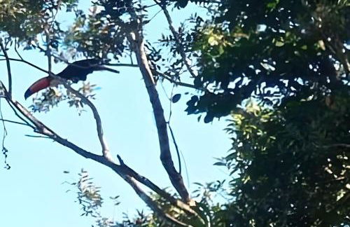 Chalé Mirante, piscina, cachoeira, lago e vista espetacular em Alexânia Goiás - Foto 13