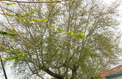 Luxury Getaway with Jacuzzi - Platanos House Salakos - Foto 24