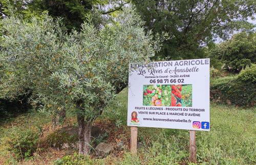 Appartement T2 - PMR à 750 Mètres de la Station Thermale d'Avène (34) - Foto 26