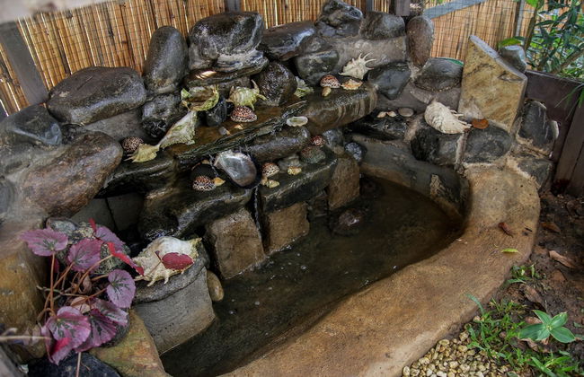 Hilltop Pool and Villa - Foto 60