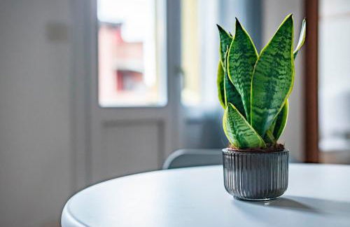 Tiny House La Grola - Foto 14