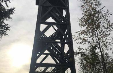 Ferienhaus Brunnbauer - Foto 37