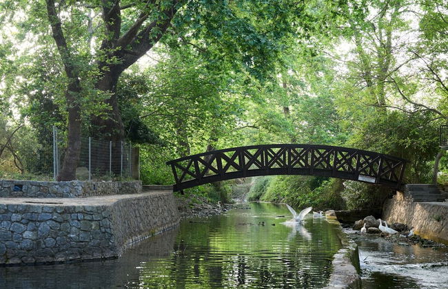 River Serenity Villa Vryses - Foto 27