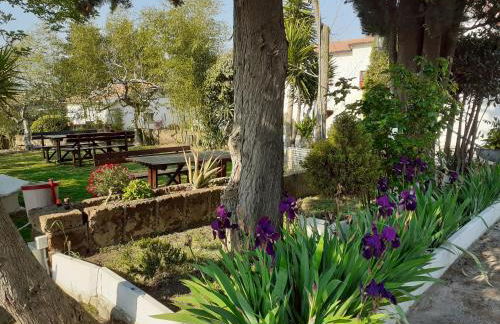 Pier Delle Vigne B&B - Foto 23