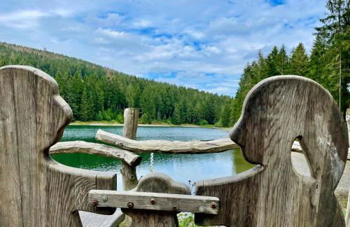 Ferienwohnung Harzurlaub - Photo 41