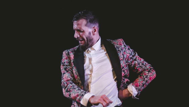 Un bailaor del espectáculo