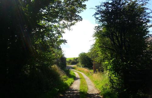 Sunflowers Barn - Foto 18