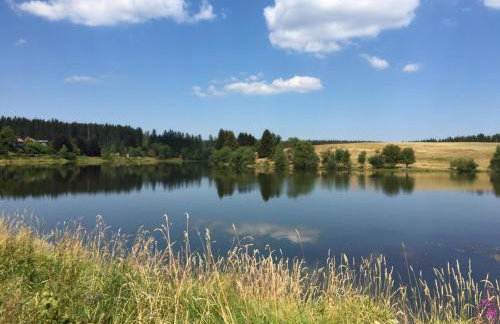 Harz Apartment 'Storchennest' mit Seeblick - Bubo am See - Photo 25