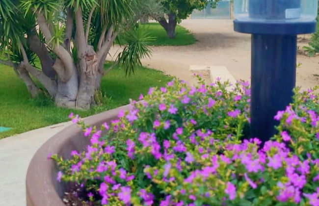 Agriturismo Cutura Agri Resort - Foto 20