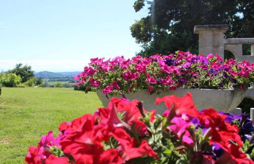 TOMMY's HOUSE BELLEVUE - Photo 3