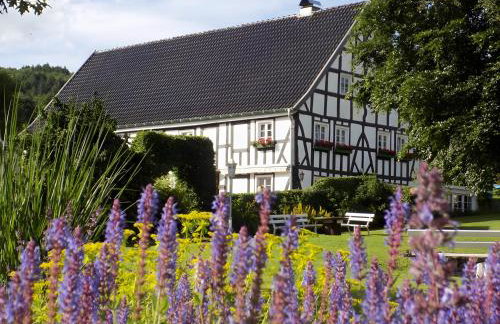 Ferienhof Bieke - Foto 3