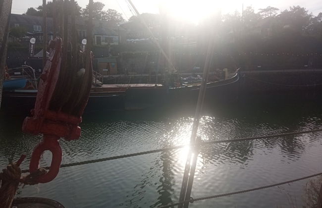 Ground Floor Cornish Retreat and Courtyard Garden - Foto 18