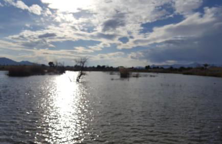 El Soleado El Rincon - Foto 66