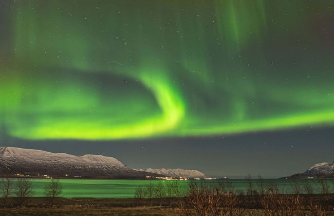 Northern Lights Tour - Photo 1