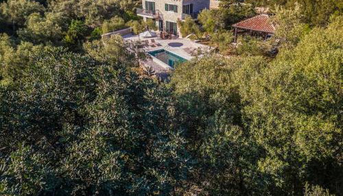 Villa VlaMar - new luxury house - Foto 5, Garden, Garden view