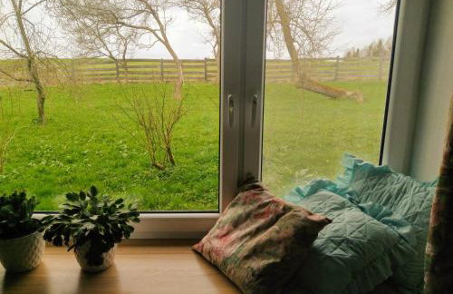 Zakątek Szczęścia Eko Agroturystyka - Foto 26