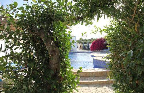 The Dragonfly Retreat - Photo 49