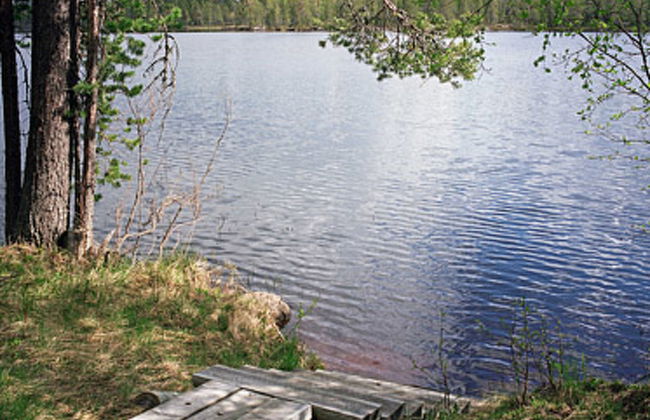 Mustikkainen - Foto 6