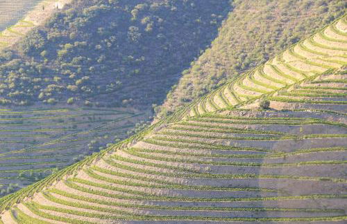 Casa do Vale de Cerdeiras - Foto 47