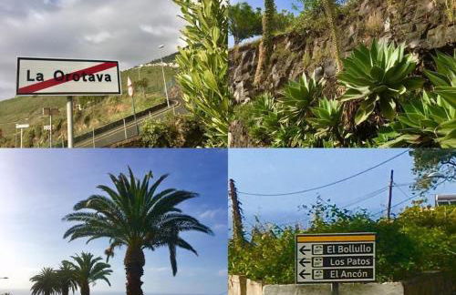 La Favorita - Foto 19