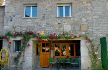 Bajo los nidos 2 - Foto 1