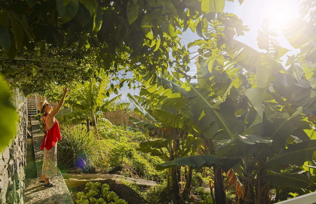 Casa da Vargem I, Pool for Small Families - Photo 33