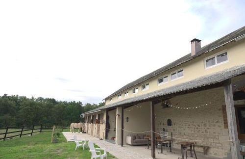 Gîte à la campagne 1 chambre Les Grandes Maisons Espace jacuzzi hammam SPA - Photo 30