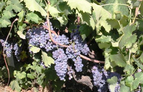 Case Dietroserra - Foto 55