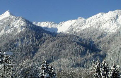 Haus-Brecherspitzblick - Foto 14