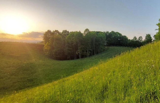 Mountain Hideaway for Four - Foto 34