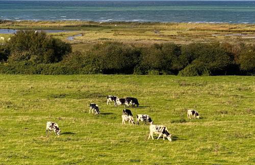 pontons view residence - Photo 36