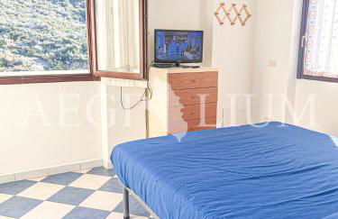 Giglio Viola - Foto 2