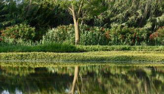 La Maison du Mas de Peint - Foto 2