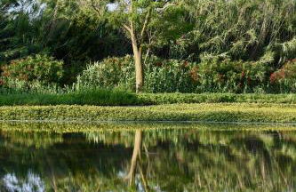 La Maison du Mas de Peint - Foto 2