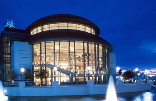 Casa Paradiso - A Sun Drenched Escape with Poolside Cabana Charm - Foto 14