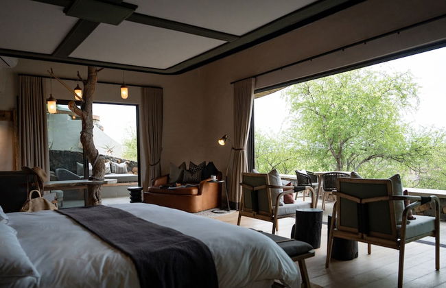 Euphorbia Mashatu - Foto 5