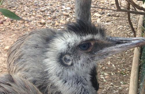 Apartamento Turistico Cigüeña de Arguedas - Foto 37