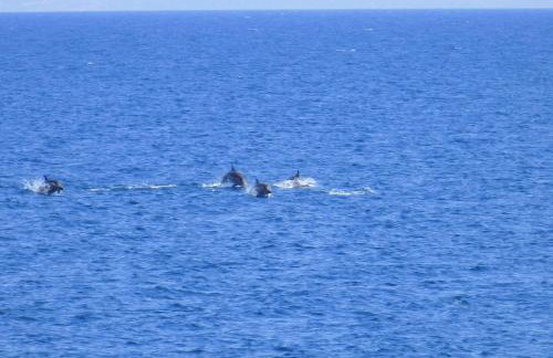 The Sound of the Sea - Foto 22