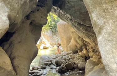 Olive Garden Studio - Foto 31