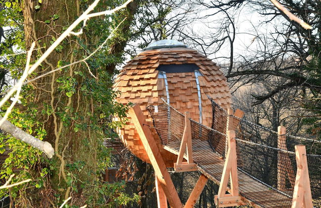 Domaine des Étoiles - Photo 13